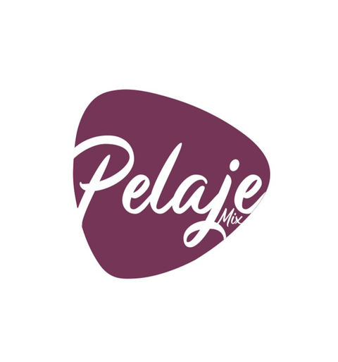 @pelajemix