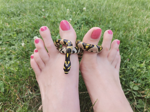 foot.and.snake nude