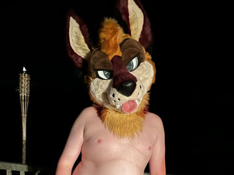 @levisheppy