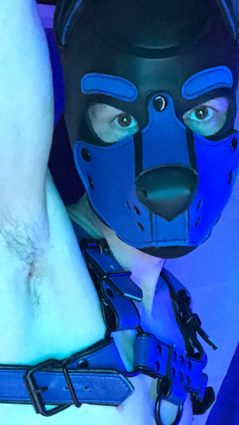 @pupscrote