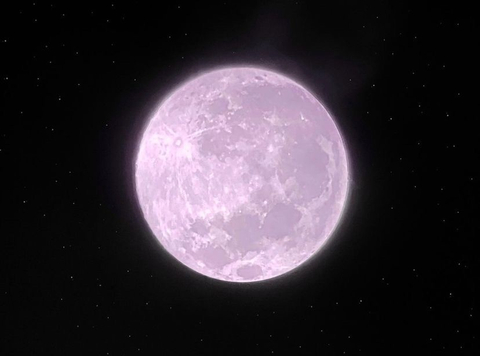 pink-moon nude