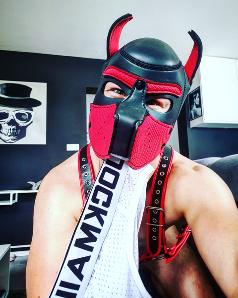 @puppyplay.pride