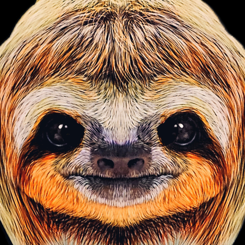 @slothstronaut