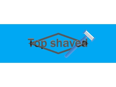 topshaved nude