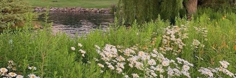 Lorelei's - naturalfeetbylorelei OnlyFans