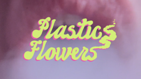 plasticflowersss nude