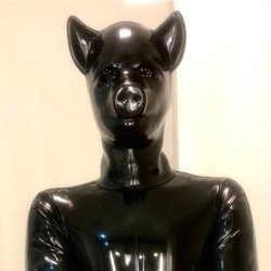 @versrubberpig