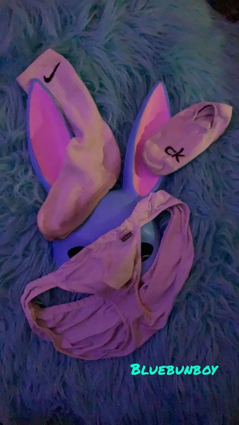 bluebunboy