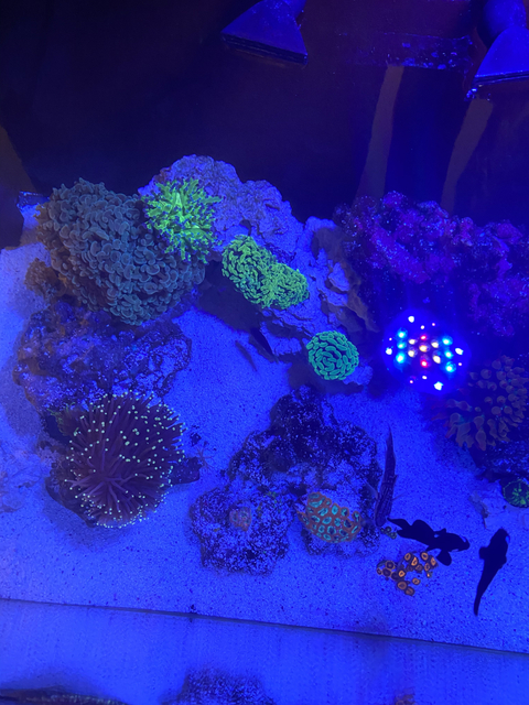 Javi - xxxjavixxx OnlyFans