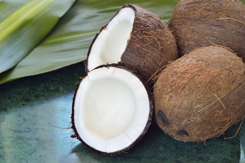 coconutlu nude