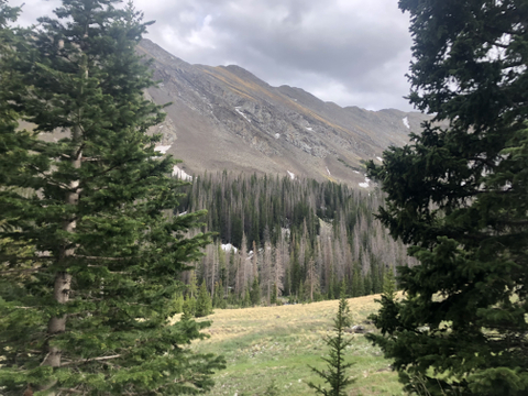 Skylyn Beaty OnlyFans Account - skylynbeaty