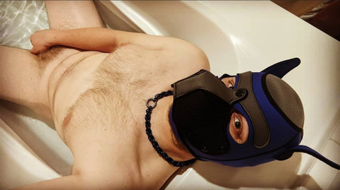 @pupgoose