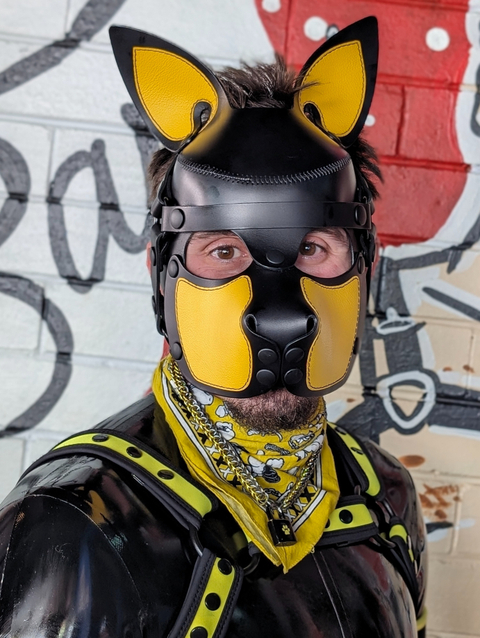 @achillies_pup