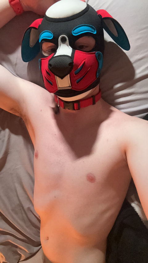 @pup_orpheus