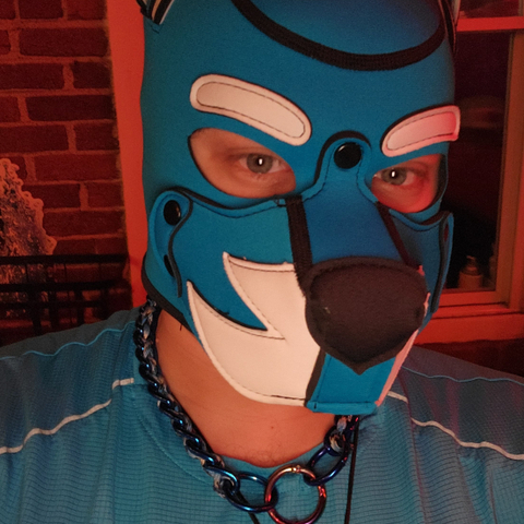 @pup_wolfio