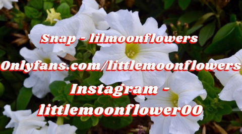 littlemoonflowers nude