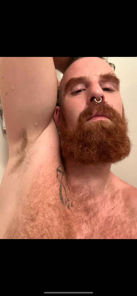 @subgingerviking