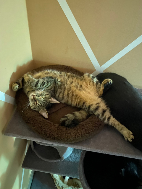 Gaz - gaz112 OnlyFans