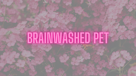 brainwashedpet nude