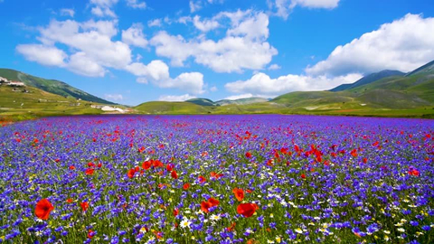 Myla_Angel - myla_angel OnlyFans