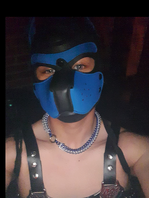 @pupcoomaxxx