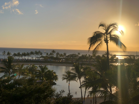 Meredith - meredith_c OnlyFans