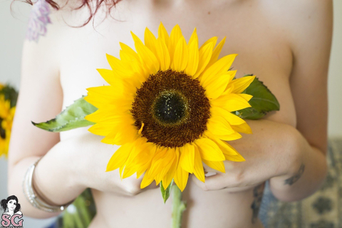 sunflower.xx nude