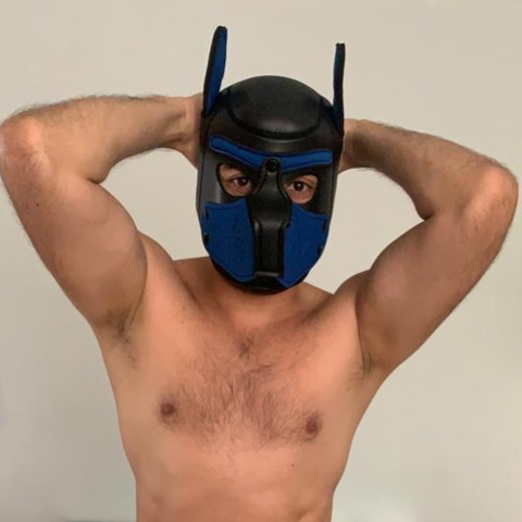 @pup_waldo