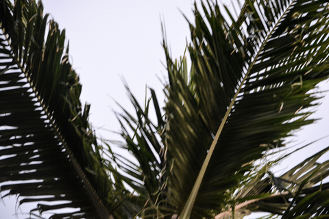 Kristina Lynn - kristina_lynn OnlyFans