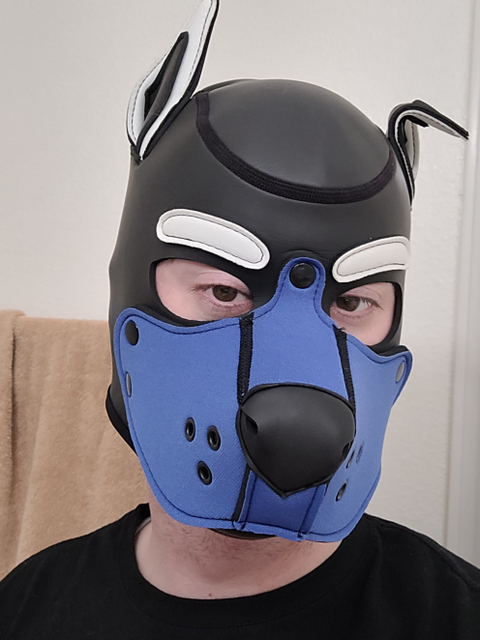 @torvindragonpup