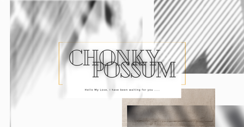 chonkypossum nude