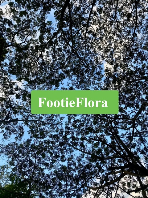 @footieflora