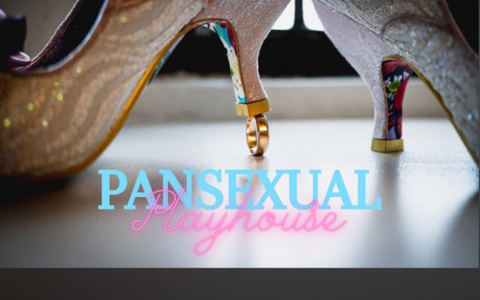 pansexualplayhouse nude