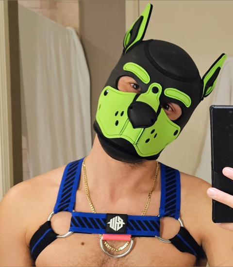 @pupboianubis