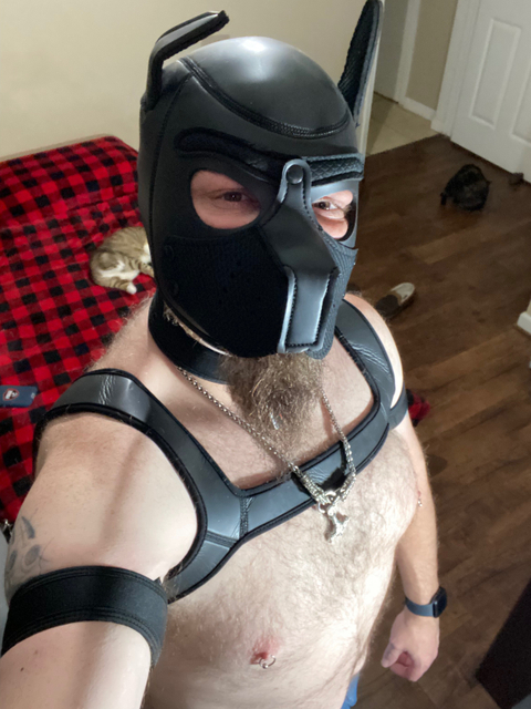 @pupfreki1981