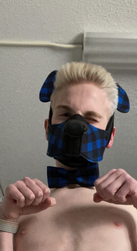 @pup0ri0n