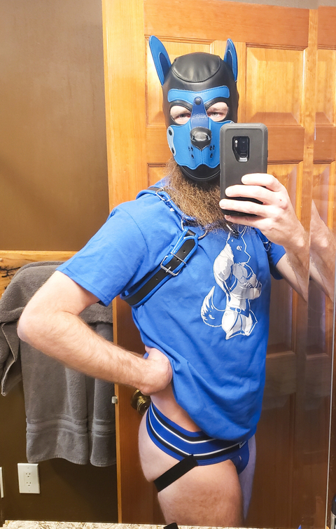 @puptucker