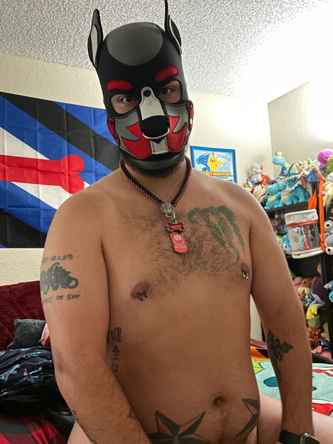 @pup_dante3