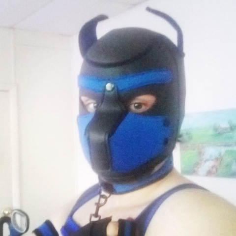 @pupdrace