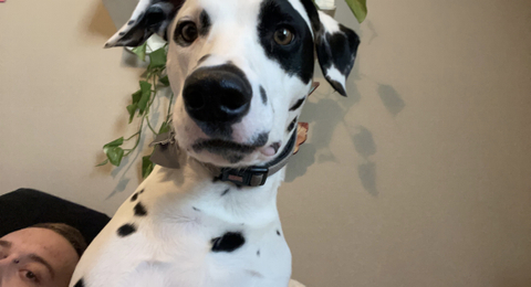 Brody - brodycacho OnlyFans