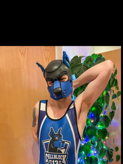 @pupshadow1