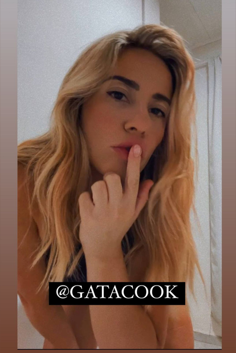 @gatacook