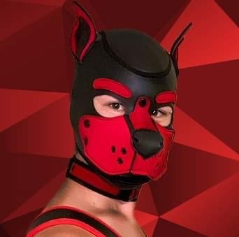 @pupbully1