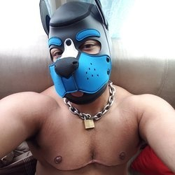 @puppomax