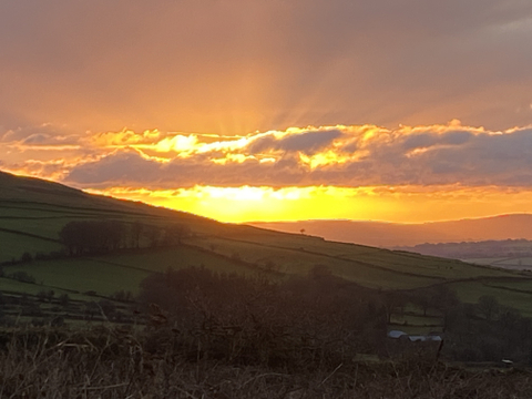 bisubdevon20 nude