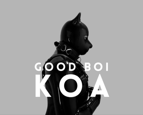 @goodboikoa