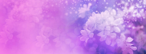 @queen_lavender