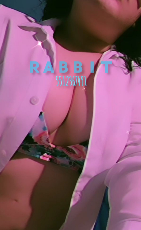 @rabbitcdmx