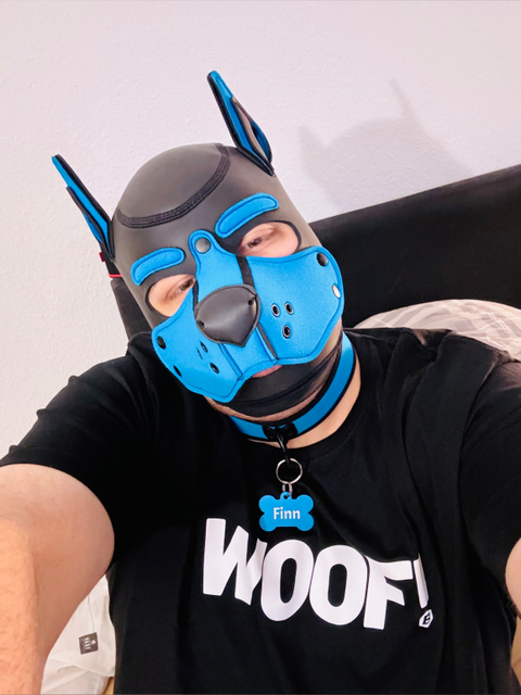 @finn_pup