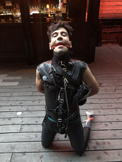 @puptreblenyc